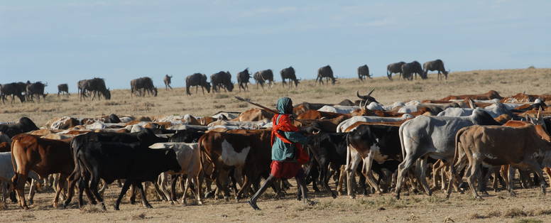 MB_DSC_0577_Masai Mara