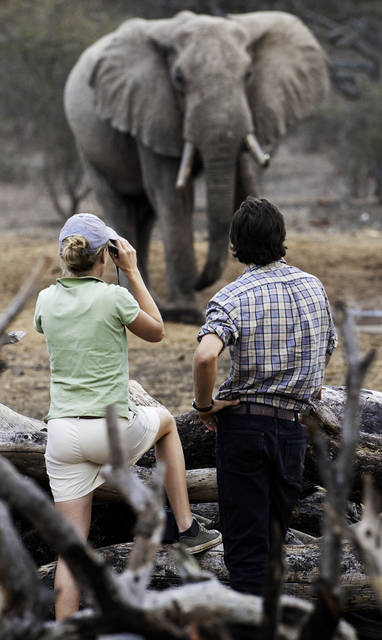 _Copyright_Beverly_Joubert_OlDonyo_Safari_Kenya_5584