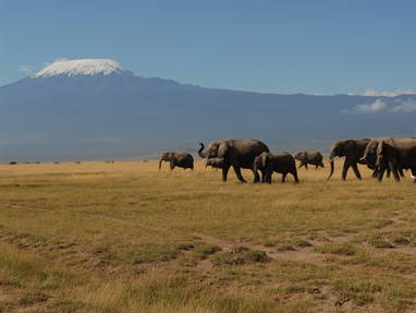 MB_DSC_0028_Amboseli