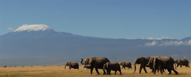 MB_DSC_0028_Amboseli