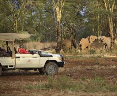 Kenia, Finch Hattons olifanten 