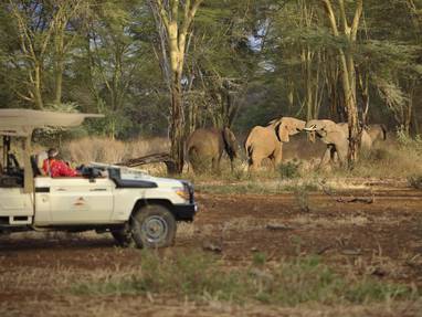 Kenia, Finch Hattons olifanten
