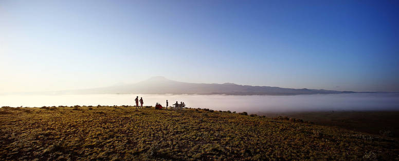 C_P_Amboseli_Tortilis_drinks_in_front_of_kilimanjaro