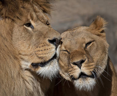 JVH7334_fotogenieke_momenten