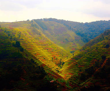 AA-HW2A0463_land_bordering_Bwindi_NP