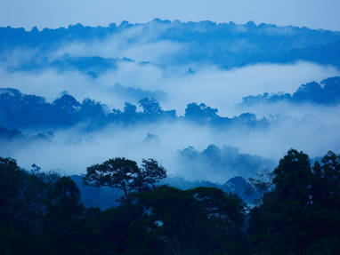 AA-HW2A9971_Mist_near_Bwindi
