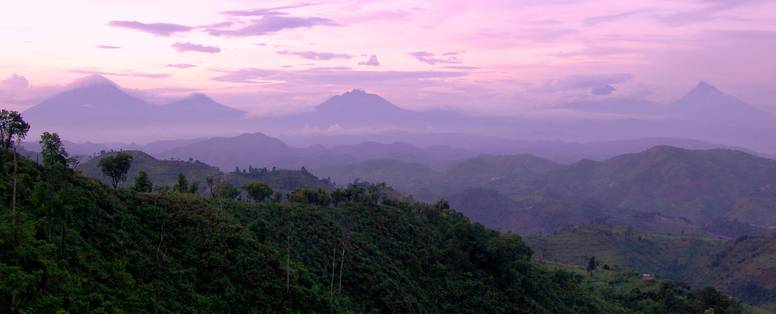 Wildplaces_Clouds_2_Bwindi