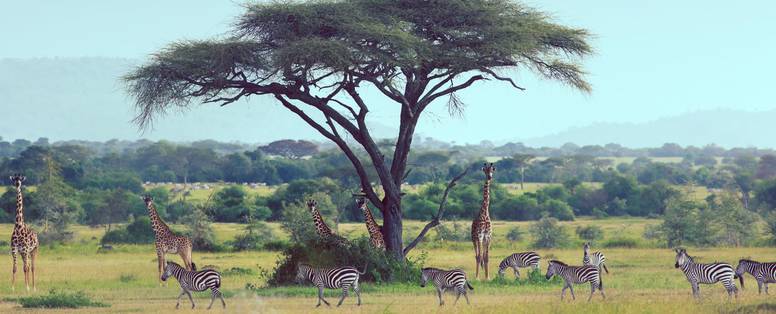 Een vegetatierijk en wildrijk Singita Grumeti Reserve in de Serengeti. 