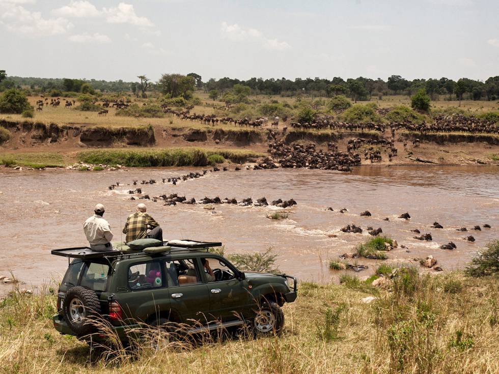 Grootste zoogdieren migratie in serengeti