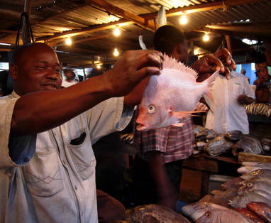 Z_General_-_Fish_Market_Maputo
