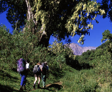 Wandeling op Mount Meru in Arusha, Tanzania
