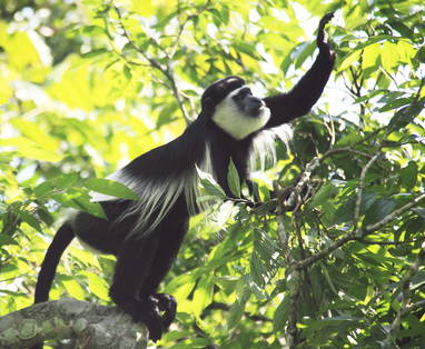 Wildplaces_Semliki_Activities_5