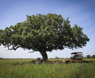 Apoka_Bush_Breakfast_2