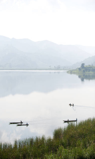 Wildplaces_Bwindi_Impenetrable_Forest_(4)