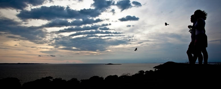 Wildplaces_Bulago_Island_(3)