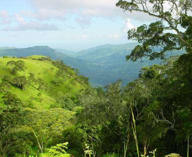 N_(1)_Viphya_plateau