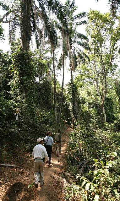 Wandelsafari's door Gombe Stream National Park