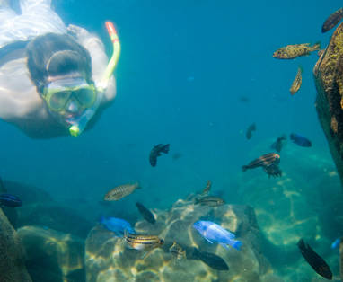 N_Cape_McLear_Pumulani08_060