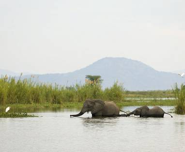 Z_Liwonde_NP_copy_of_Mvuu59(9)