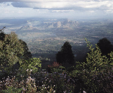 Z_Zomba_03491.P163_(1)