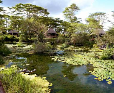 Kenia, Finch Hattons natuurlijke zwempoel