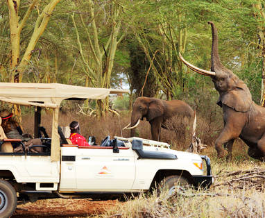 Kenia, Finch Hattons safari