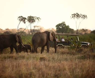safari  bij elsa's kopje in kenia