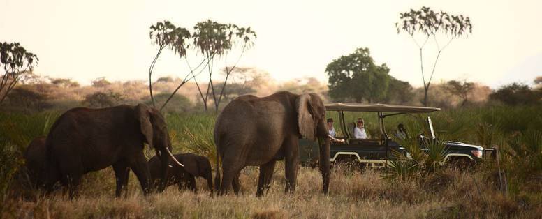 safari  bij elsa's kopje in kenia
