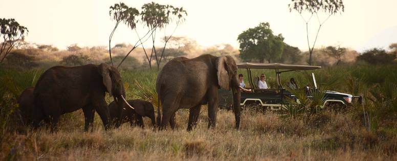 Shaba__Joy's_camp__safari