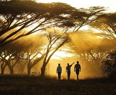 Shaba__Joy's_camp__safari2