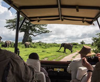 13724130_1237810486263243_8987502296735465276_o