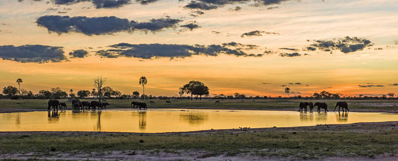 NW_WS_Hwange_Linkwasha_MM_108_Top