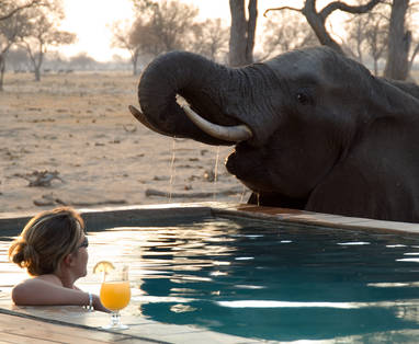 NW_Makololo08_Hwange