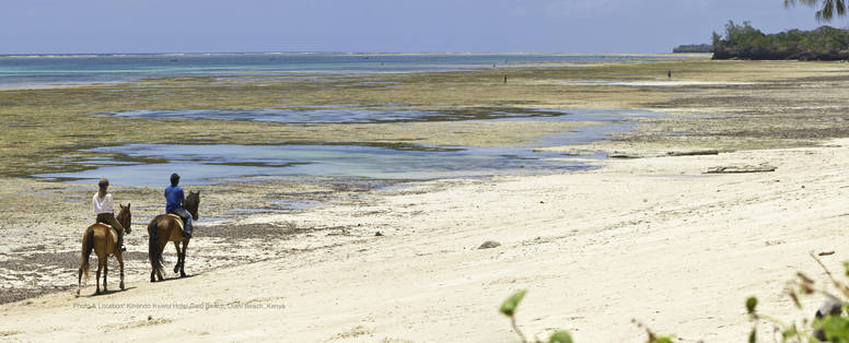 paardrijden bij Kinondo Kwetu in kenia