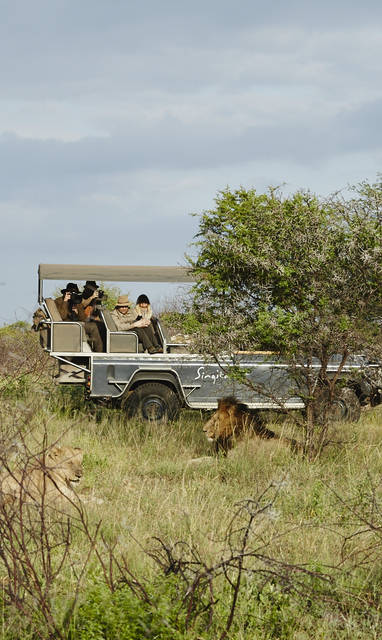 Singita-Lebombo-Gamedrive5
