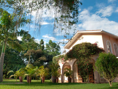 Groene tuinen bij House of Waine in Kenia