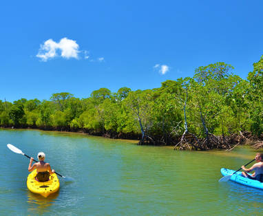 Mangrove_Kayak