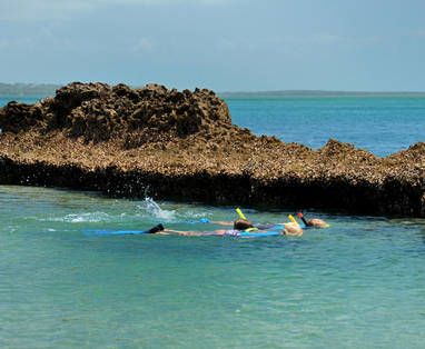 Snorkelling