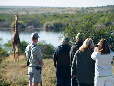 Kwandwe_private_walking_safari