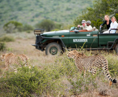 16.-KWANDWE---wonderful-sightings-on-game-drives