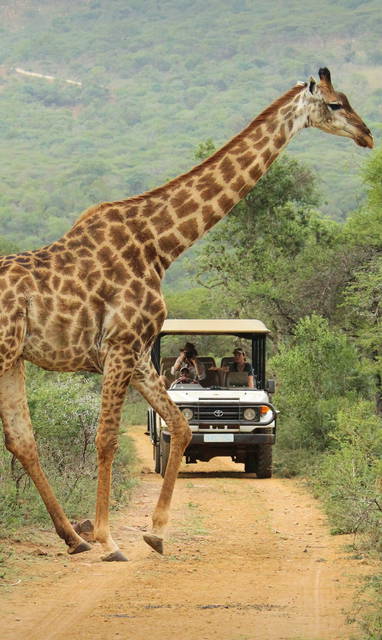Game_Drive_5_-_Photo_by_Christian_Sperka_Photography