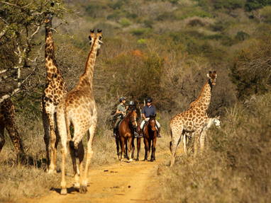 Horseback_Safari_3_-_Photo_by_Christian_Sperka_Photography