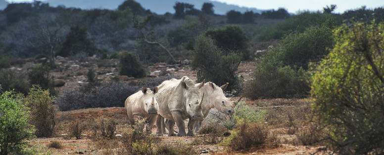 JvH_DSC6766