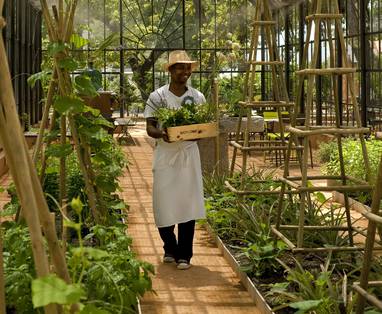 THE_GREENHOUSE_-_INSIDE
