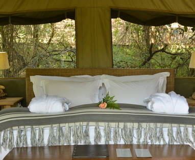 luxury_tented_suite