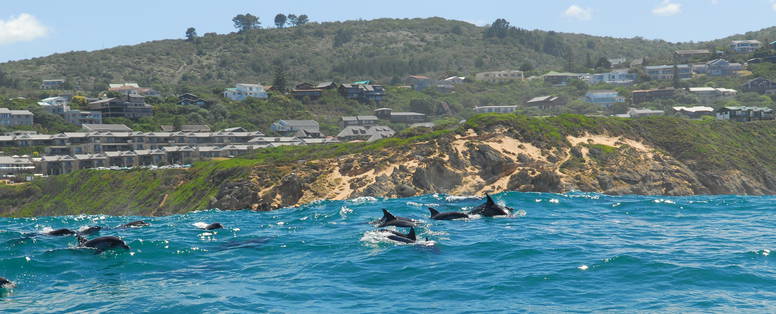 MB_Knysna_dolfijnexcursie_DSC_0320