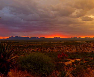 21._GocheGanas_impressions