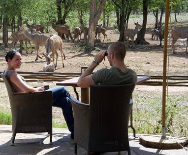 Lunchen met empala op de achtergrond bij Ongava Tented Camp in Namibië