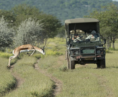 4x4 safari bij Ongava Tented Camp in Namibië
