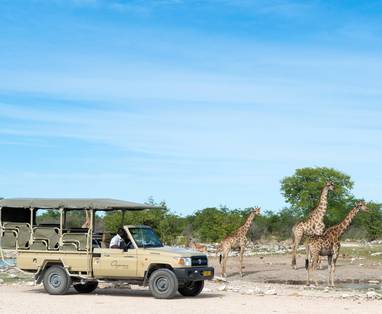 Game_Drive_at_Onguma_1191_-_kopie